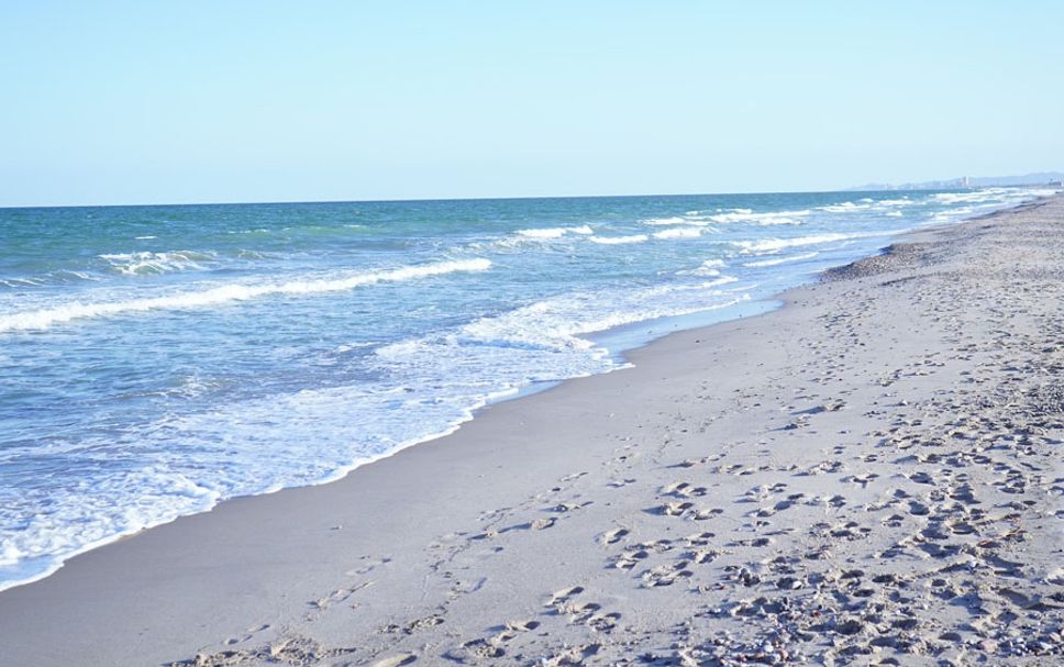 Beach Photo