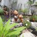 Outdoors view