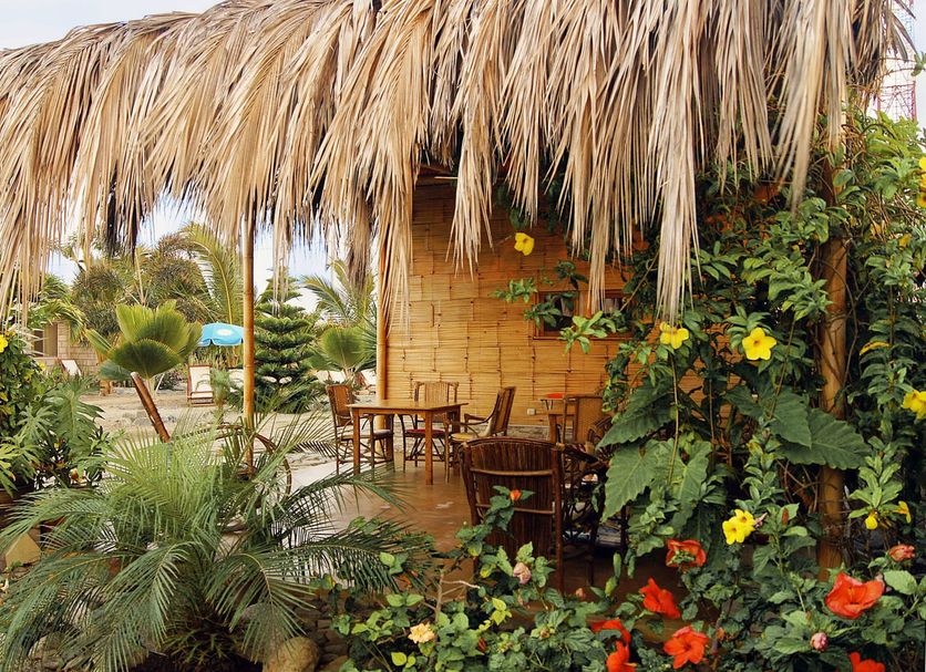 Outdoors view Photo