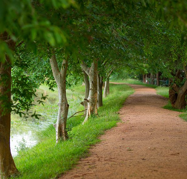 Outdoors view