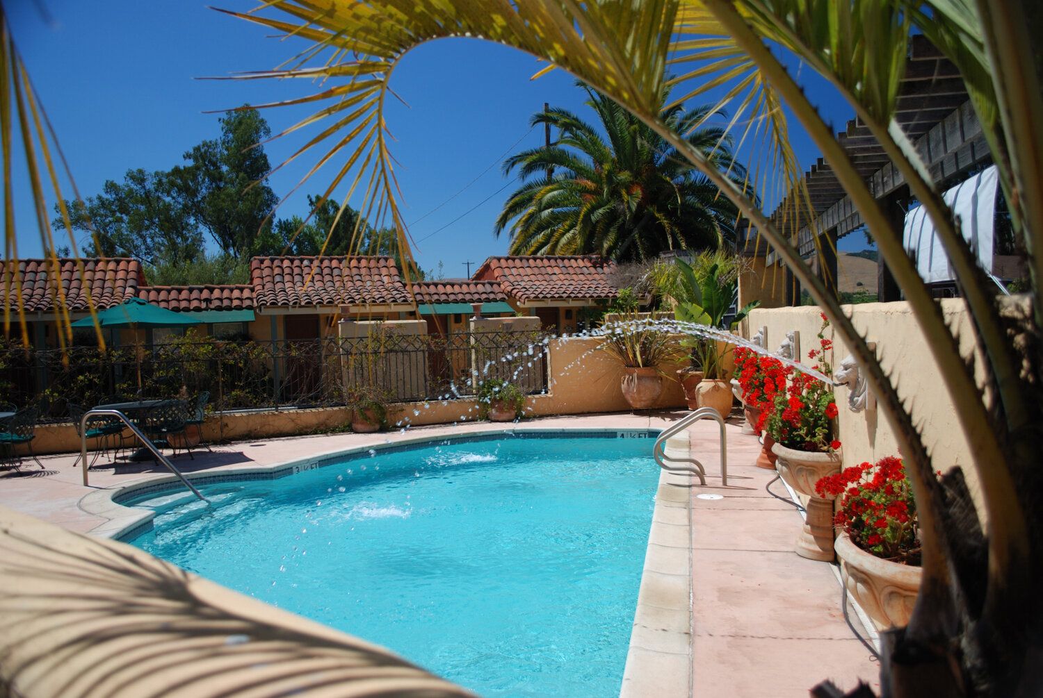 Pool Photo