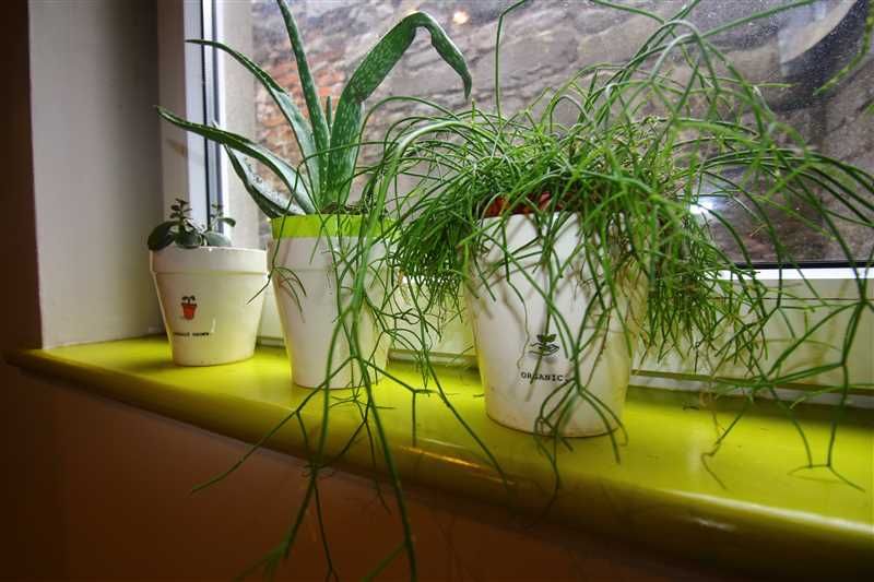 Decor