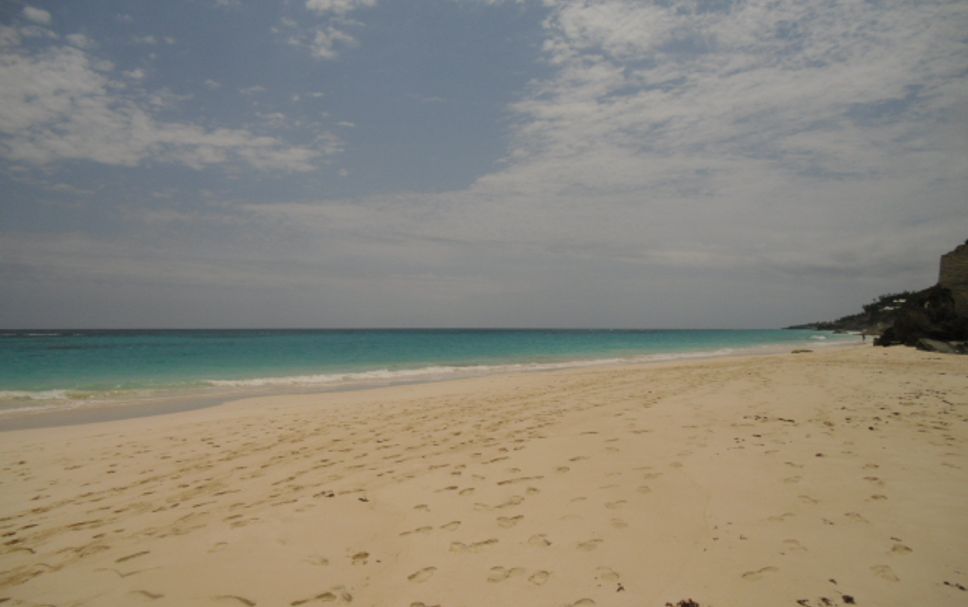 Beach Photo