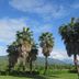 Outdoors view