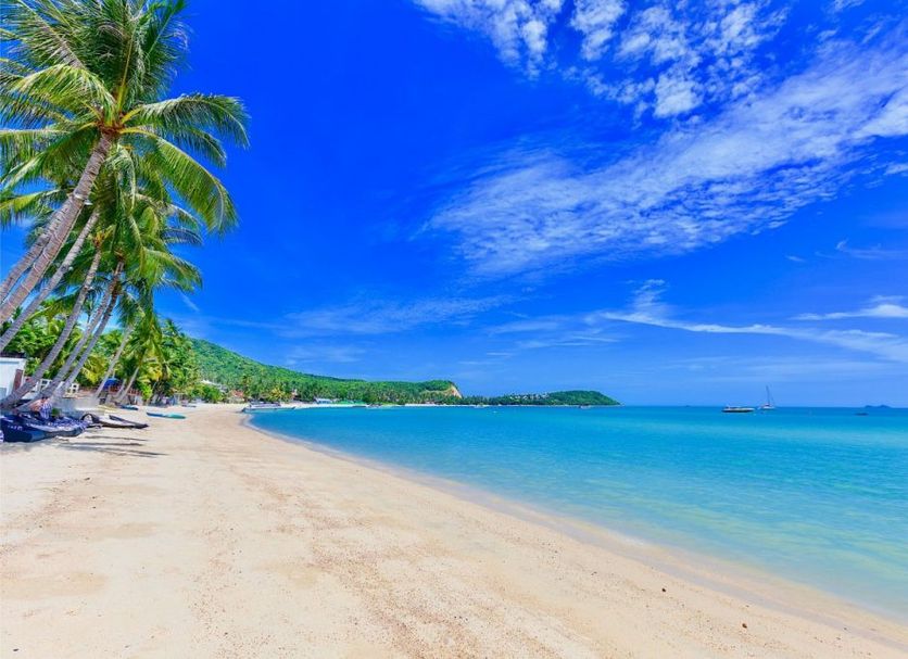 Beach Photo