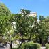 Outdoors view