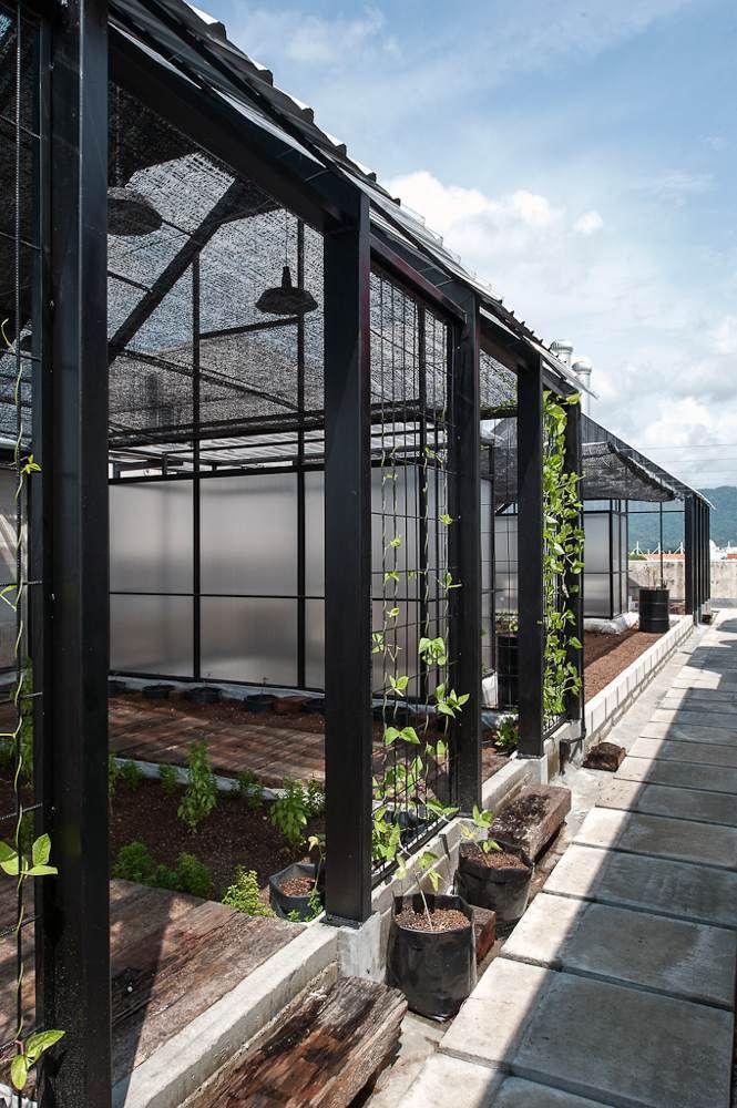 Rooftop