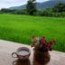 Outdoors view